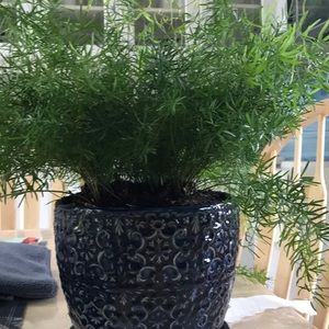 Meet your Posher, Pamela